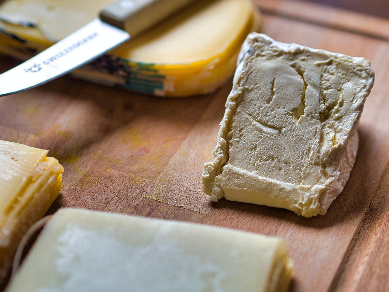 Ser Kozi - obrazek 3